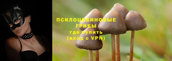 mix Инсар