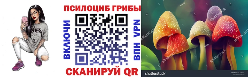 Купить где  Суздаль  Галлюциногенные грибы Cubensis 