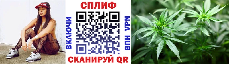 Купить закладки  Суздаль  МАРИХУАНА конопля 